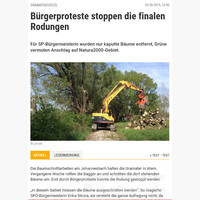 NÖN Online-Artikel Rodung Windschutzgürtel 2015