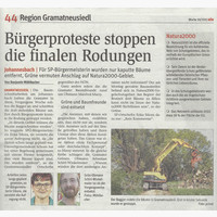 NÖN Artikel Rodung Windschutzgürtel