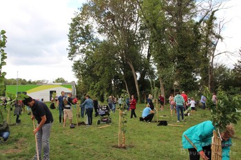 Obstgarten Mitterndorf