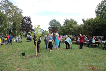 Obstgarten Mitterndorf