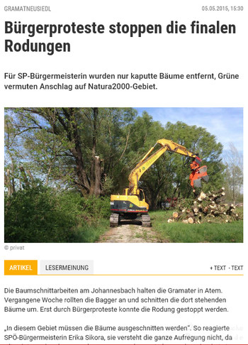 NÖN Online-Artikel Rodung Windschutzgürtel 2015