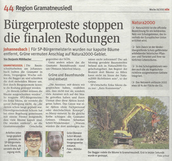 NÖN Artikel Rodung Windschutzgürtel